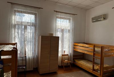 Viluta singur curte, boema - 16