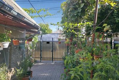 Casă cu 6 camere cu Teren 230 Mp în Viile Noi - 2