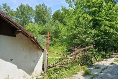 Teren intravilan cu padure,Provita de Jos,1h de Bucuresti,4950mp-39900euro. Cadastru,topo+geo,Pot30%