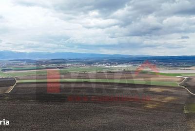 Teren de 50400 mp, în Șura Mică - 6