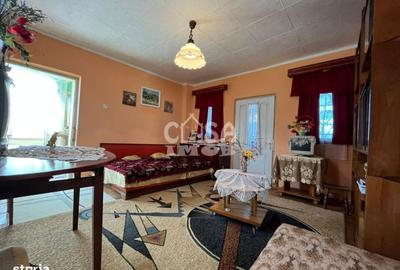 Casă cu 4 camere în Căprioru - 15