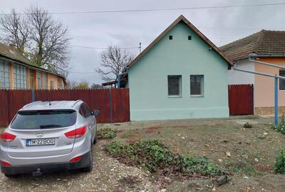 Casă cu 4 camere cu Teren 2300 Mp în Cenad - 5