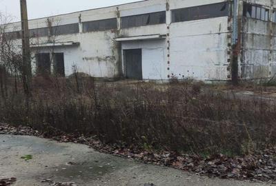 Hala ideal productie Oltenita - 10