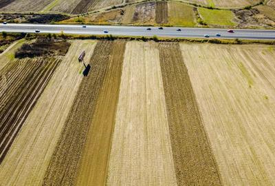 Terenuri industriale cu deschidere la A1, km 64 – Jugureni, Dambovita - 7