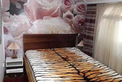 Casa Sunatori, Vatra Dornei, Suceava - 13