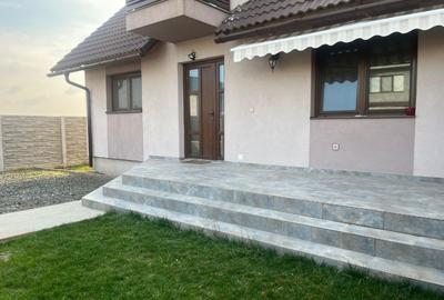 Duplex Sanandrei, str Viilor - 1