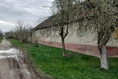 Casa si gradina de vanzare in Hitias la strada principala - 9