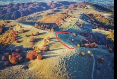 Spațiu comercial, în Central - 2