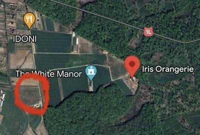 Teren de 8569 mp, în Ciolpani - 3