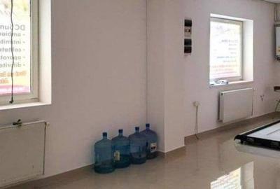 Casă individuală cu 10 camere în Scriitorilor - 10