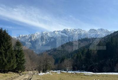 Teren în Central - 5