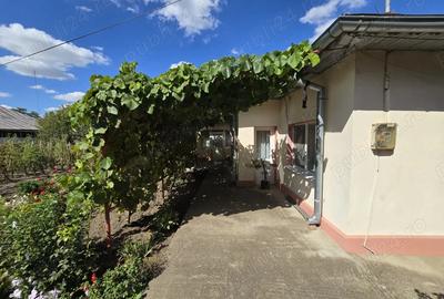 Casa de vanzare Frumu?ani, jud. Calara?i, aproape de Bucure?ti - 2