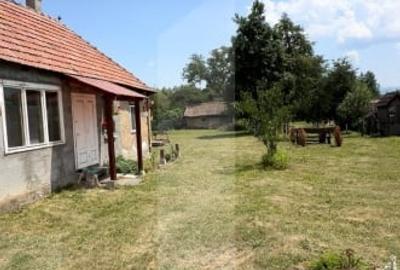 Casa taraneasca in inima naturii - 2
