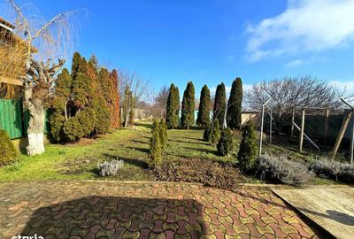 Casă cu 8 camere cu Teren 1146 Mp în Vânători - 12