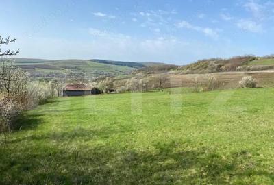 Casa cu 10000mp de teren in Buza, la 50 km de Cluj-Napoca - 12