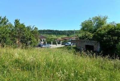 Teren agricol extravilan de 8008 mp, în Hășdat - 4