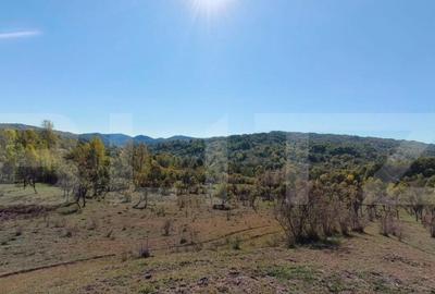 Teren extravilan cu priveli?te superba , livada ?i poten? - 24