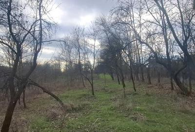 Teren de 4900 mp, în Central