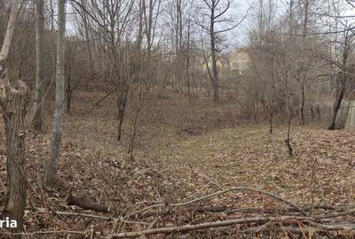 Spațiu comercial, în Central - 2