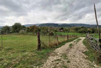 Teren de 990 mp, în Cacica - 4