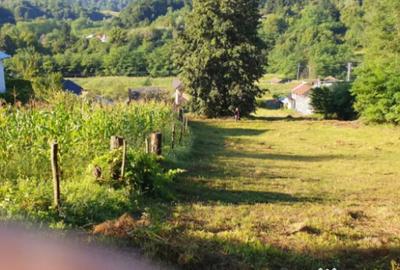 Teren de 7000 mp, în Ștubeie Tisa - 2