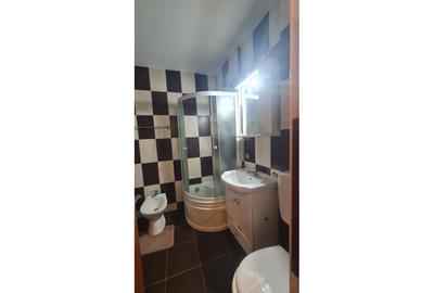 Apartament cu 3 camere decomandat, mobilat în P-ta Presei Libere - 9