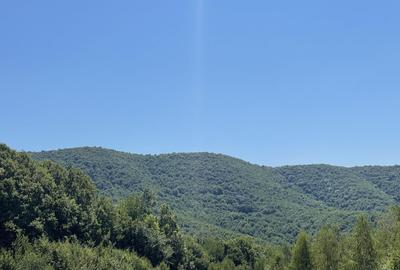 Teren extravilan de 45809 mp, în Mădrigești - 11