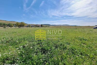 Teren intravilan Ernei - 1