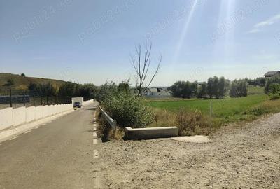 Teren de 3500 mp, în Moara - 4