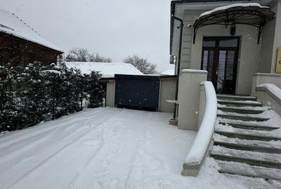 Casa Lipovei transformata in SAD - 37