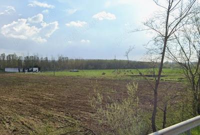 Teren de 7500 mp, în Cernele - 7