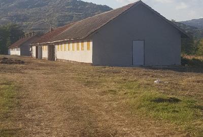 In Cislau teren intravilan parcelabil 500- 1000 mp 16 euro mp. - 4