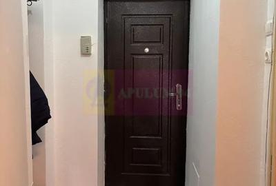 Garsonieră semidecomandată, mobilată în Vitan - 7