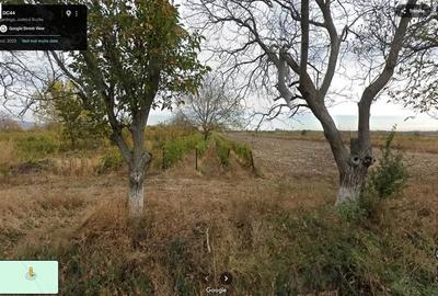 Teren extravilan Pietroasele, ID: R2586802 - 1