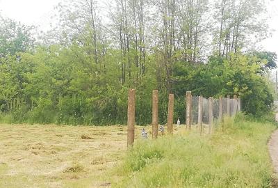 Casă cu 1 camere cu Teren 2500 Mp în Radu Vodă - 5