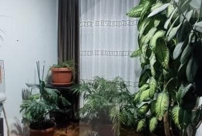 Casa duplex eleganta cu curte amenajata, in Berceni - 13