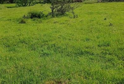 Teren de 400 mp, în Central - 3