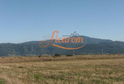 Teren Construcții intravilan de 240000 mp, în Exterior Est - 13