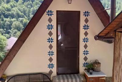 Casă cu 2 camere cu Teren 331 Mp în Lăpuștești - 1