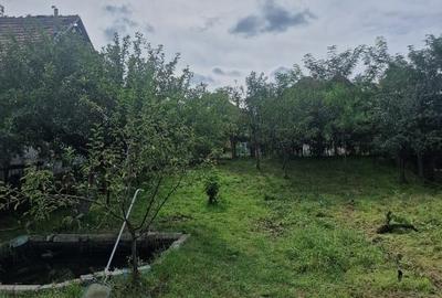 Casă individuală cu 5 camere cu Teren 1000 Mp în Central - 2