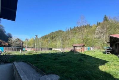 Pensiune/Ferma pescicola la cheie, teren 4000 mp, zona Molid - 12