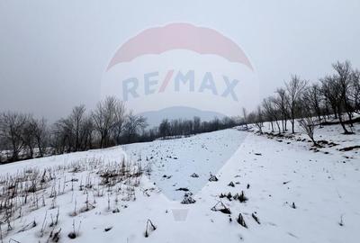 Casa cu 2 camere de vanzare - 12