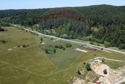 Teren de 5561 mp, în Paltin - 15