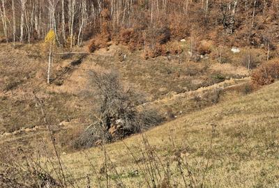 Teren de vânzare în sat Măgura/ Brasov– loc pentru familie, liniște și suflet - 16