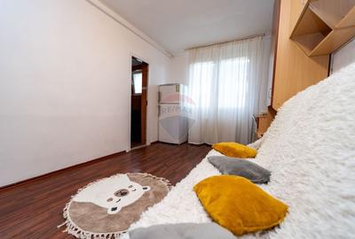 Garsoniera moderna, pets allowed! - 4