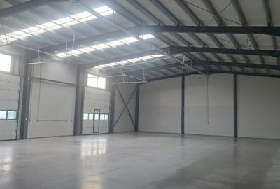 Domnesti - Centura Bucuresti, hala 595 mp, constructie noua. - 3