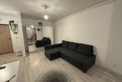 Apartament cu 2 camere semidecomandat, mobilat în Theodor Pallady - 3