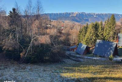 Teren de 6000 mp, în Bran - 2