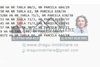 Teren de 75000 mp, în Mazepa 1