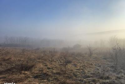 Spațiu comercial, în Brătuleni - 5